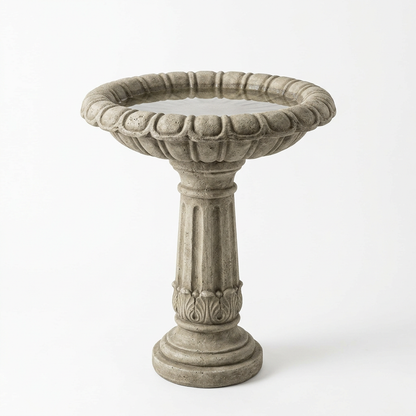 Classic pedestal bird bath on white background