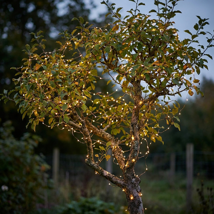 Solar fairy lights wound around a garden tree