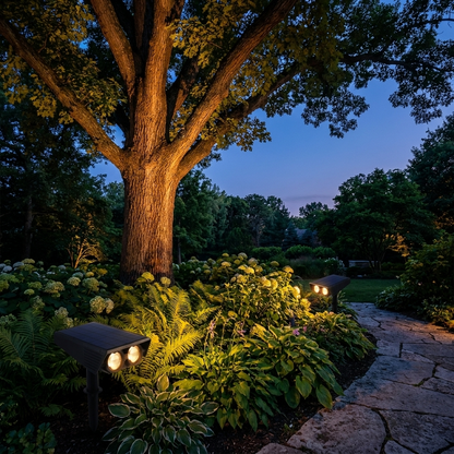 Colour changing solar spotlights uplighting a tree at twilight